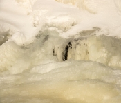 2021 01 10 NorthernMN 009